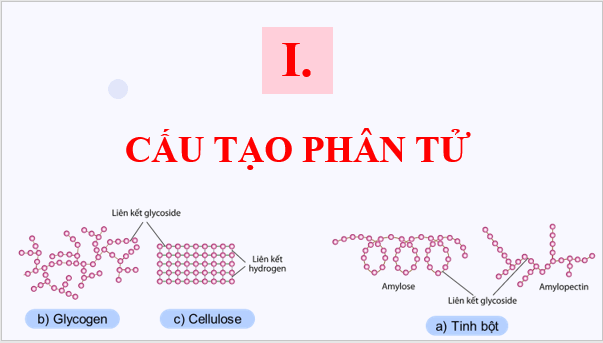 Giáo án điện tử Hóa 12 Kết nối Bài 6: Tinh bột và cellulose | PPT Hóa học 12 Kết nối tri thức