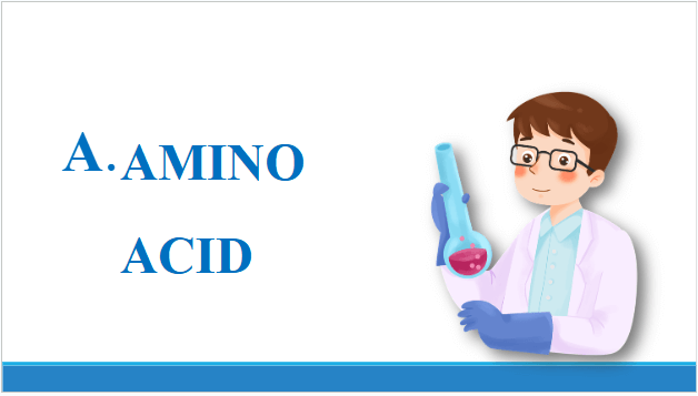 Giáo án điện tử Hóa 12 Chân trời Bài 7: Amino acid và peptide | PPT Hóa học 12 Chân trời sáng tạo