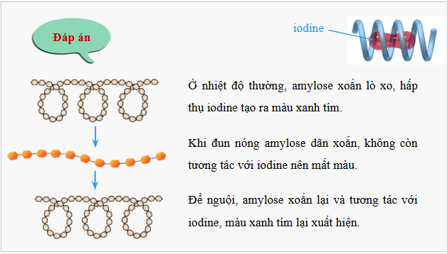 Giáo án điện tử Hóa 12 Kết nối Bài 7: Ôn tập chương 2 | PPT Hóa học 12 Kết nối tri thức