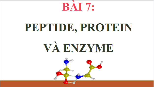 Giáo án điện tử Hóa 12 Cánh diều Bài 7: Peptide, protein và enzyme | PPT Hóa học 12