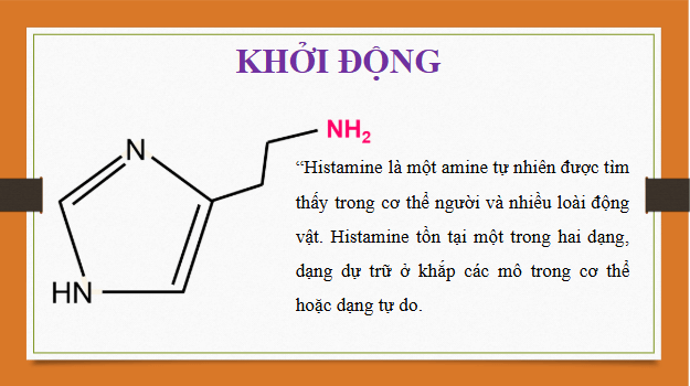 Giáo án điện tử Hóa 12 Kết nối Bài 8: Amine | PPT Hóa học 12 Kết nối tri thức