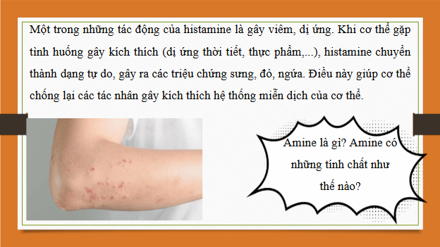 Giáo án điện tử Hóa 12 Kết nối Bài 8: Amine | PPT Hóa học 12 Kết nối tri thức