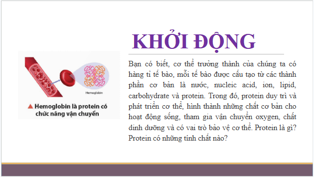 Giáo án điện tử Hóa 12 Chân trời Bài 8: Protein và enzyme | PPT Hóa học 12 Chân trời sáng tạo