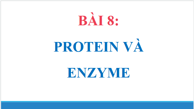 Giáo án điện tử Hóa 12 Chân trời Bài 8: Protein và enzyme | PPT Hóa học 12 Chân trời sáng tạo