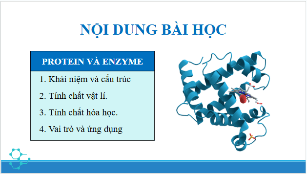 Giáo án điện tử Hóa 12 Chân trời Bài 8: Protein và enzyme | PPT Hóa học 12 Chân trời sáng tạo