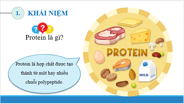 Giáo án điện tử Hóa 12 Chân trời Bài 8: Protein và enzyme | PPT Hóa học 12 Chân trời sáng tạo