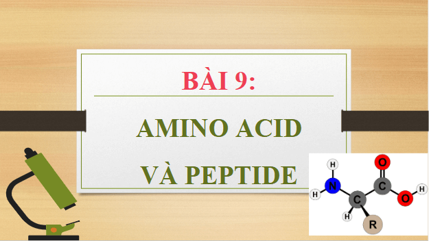 Giáo án điện tử Hóa 12 Kết nối Bài 9: Amino acid và peptide | PPT Hóa học 12 Kết nối tri thức