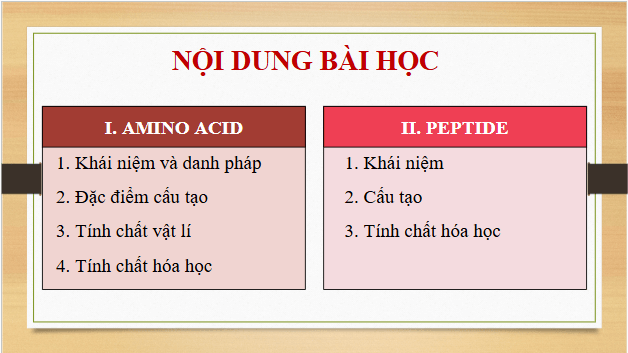 Giáo án điện tử Hóa 12 Kết nối Bài 9: Amino acid và peptide | PPT Hóa học 12 Kết nối tri thức