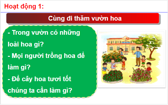 Giáo án điện tử HĐTN lớp 1 Cánh diều Tuần 19: Vườn hoa trường em | PPT Hoạt động trải nghiệm lớp 1