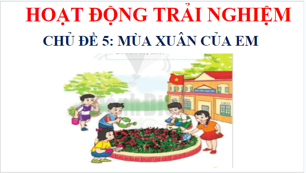 Giáo án điện tử HĐTN lớp 1 Cánh diều Tuần 20: Em ươm cây xanh | PPT Hoạt động trải nghiệm lớp 1