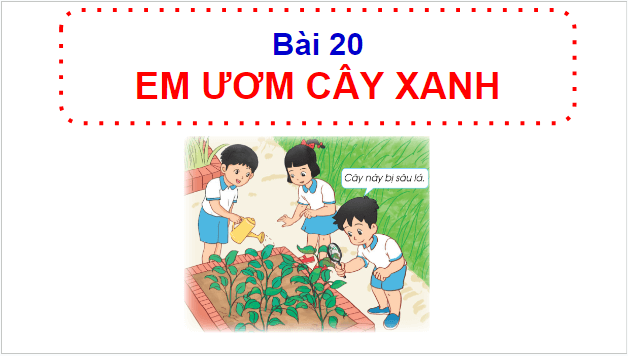 Giáo án điện tử HĐTN lớp 1 Cánh diều Tuần 20: Em ươm cây xanh | PPT Hoạt động trải nghiệm lớp 1