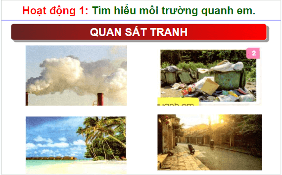 Giáo án điện tử HĐTN lớp 1 Cánh diều Tuần 23: Môi trường quanh em | PPT Hoạt động trải nghiệm lớp 1