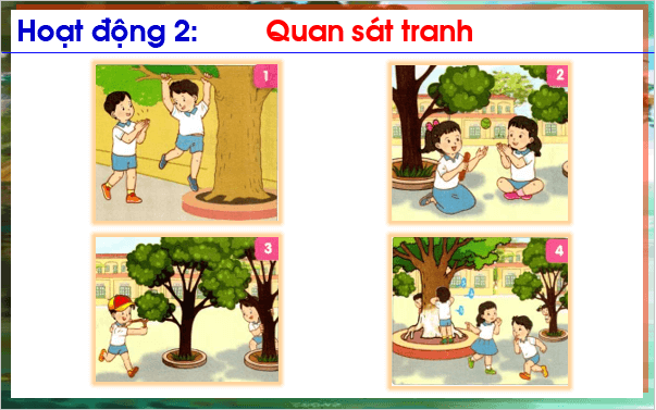 Giáo án điện tử HĐTN lớp 1 Cánh diều Tuần 4: An toàn khi vui chơi | PPT Hoạt động trải nghiệm lớp 1