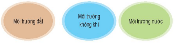 chu-de-8-bao-ve-moi-truong-tu-nhien-kntt