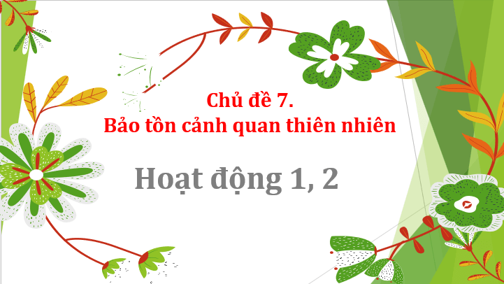 Giáo án điện tử HĐTN 10 Kết nối tri thức Chủ đề 7: Bảo tồn cảnh quan thiên nhiên | PPT Hoạt động trải nghiệm 10