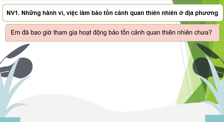 Giáo án điện tử HĐTN 10 Kết nối tri thức Chủ đề 7: Bảo tồn cảnh quan thiên nhiên | PPT Hoạt động trải nghiệm 10