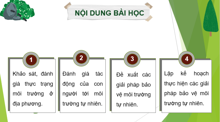 Giáo án điện tử HĐTN 10 Kết nối tri thức Chủ đề 8: Bảo vệ môi trường tự nhiên | PPT Hoạt động trải nghiệm 10