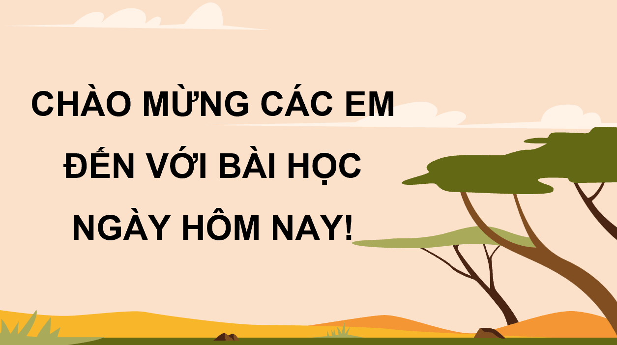 Giáo án điện tử HĐTN 12 Kết nối tri thức Chủ đề 7: Bảo vệ thế giới tự nhiên | PPT Hoạt động trải nghiệm 12