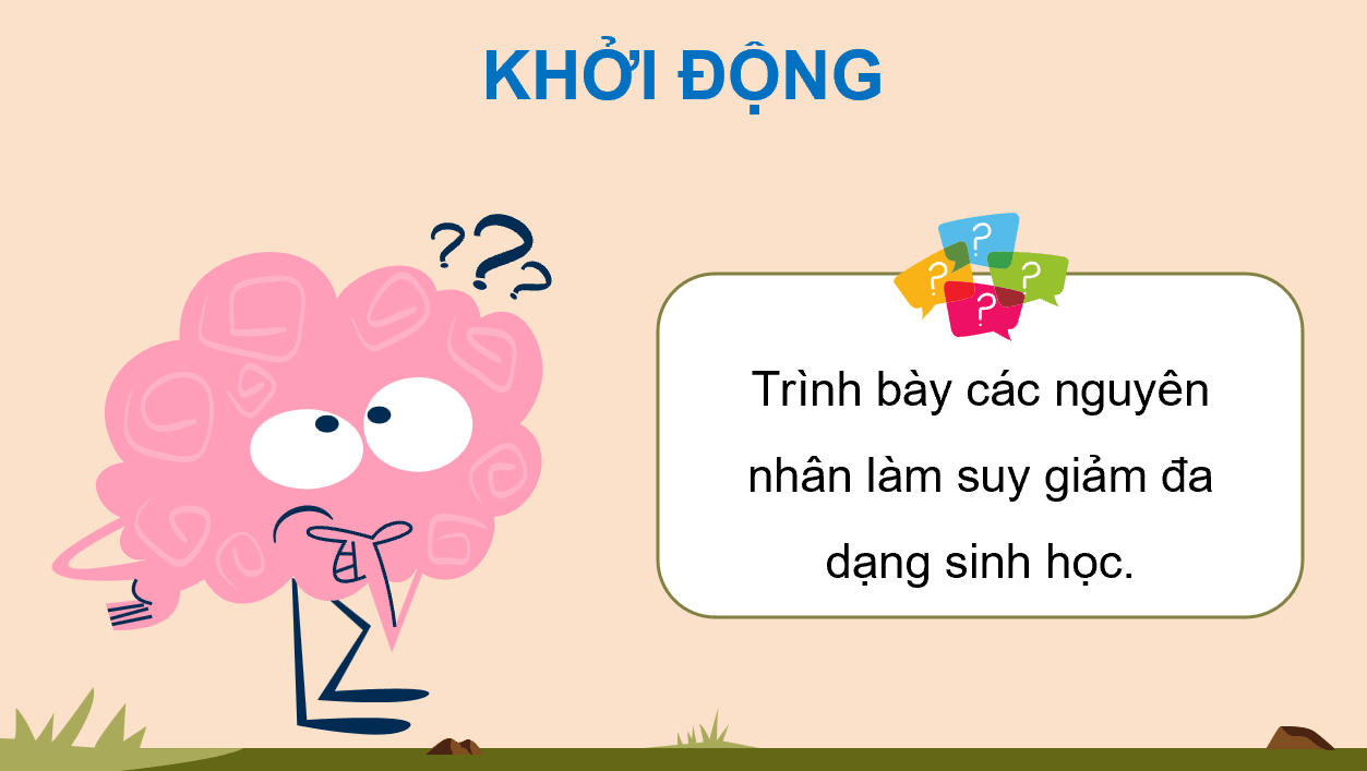 Giáo án điện tử HĐTN 12 Kết nối tri thức Chủ đề 7: Bảo vệ thế giới tự nhiên | PPT Hoạt động trải nghiệm 12