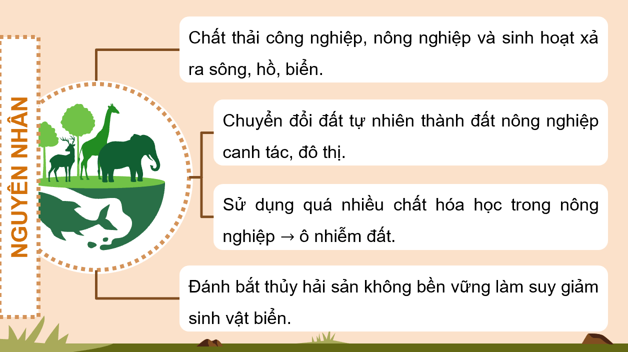 Giáo án điện tử HĐTN 12 Kết nối tri thức Chủ đề 7: Bảo vệ thế giới tự nhiên | PPT Hoạt động trải nghiệm 12
