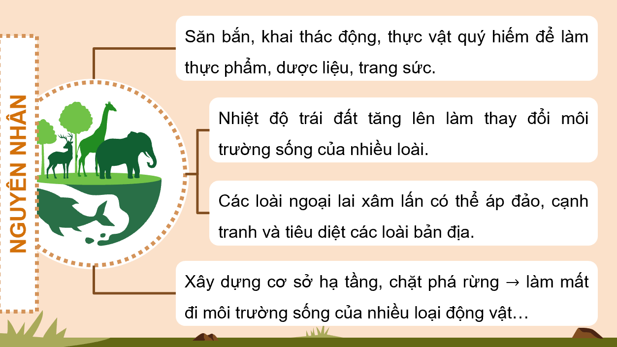 Giáo án điện tử HĐTN 12 Kết nối tri thức Chủ đề 7: Bảo vệ thế giới tự nhiên | PPT Hoạt động trải nghiệm 12
