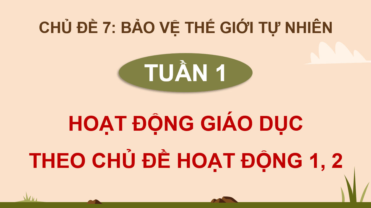 Giáo án điện tử HĐTN 12 Kết nối tri thức Chủ đề 7: Bảo vệ thế giới tự nhiên | PPT Hoạt động trải nghiệm 12