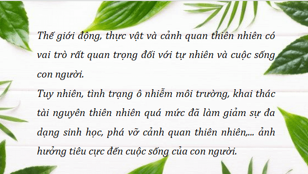 Giáo án điện tử HĐTN 12 Chân trời sáng tạo Chủ đề 9: Bảo vệ cảnh quan thiên nhiên, thế giới động vật và thực vật | PPT Hoạt động trải nghiệm 12