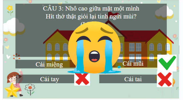 Giáo án điện tử HĐTN lớp 2 Kết nối tri thức Tuần 1: Hình ảnh của em | PPT Hoạt động trải nghiệm lớp 2