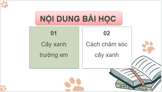 Giáo án điện tử HĐTN lớp 2 Cánh diều Tuần 9 | PPT Hoạt động trải nghiệm lớp 2