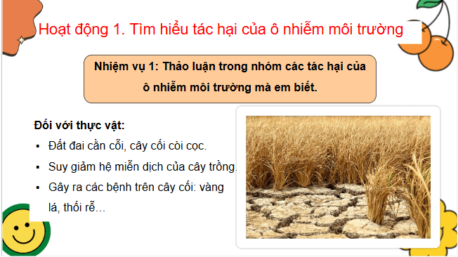Giáo án điện tử HĐTN lớp 3 Chân trời sáng tạo Tuần 29 | PPT Hoạt động trải nghiệm lớp 3