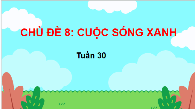 Giáo án điện tử HĐTN lớp 3 Chân trời sáng tạo Tuần 30 | PPT Hoạt động trải nghiệm lớp 3