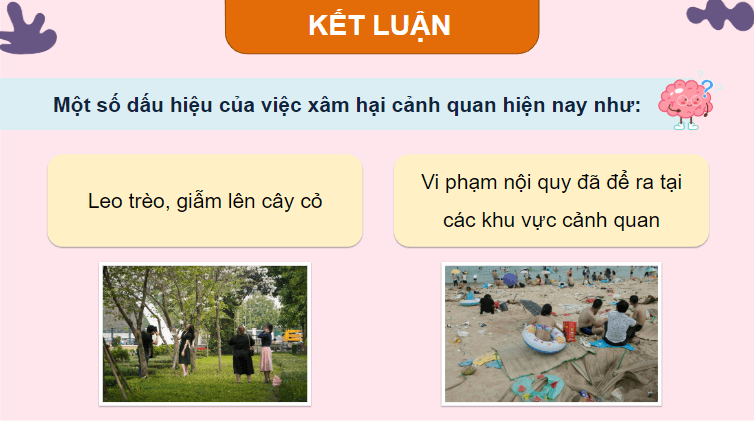 Giáo án điện tử HĐTN lớp 4 Kết nối tri thức Tuần 30 | PPT Hoạt động trải nghiệm lớp 4