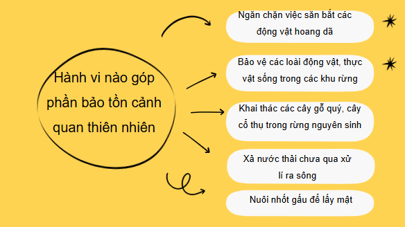 Giáo án điện tử HĐTN 6 Kết nối tri thức Bài 3: Ứng phó với biến đổi khí hậu | PPT Hoạt động trải nghiệm 6