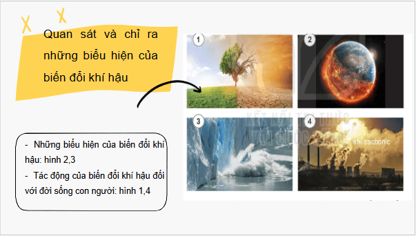 Giáo án điện tử HĐTN 6 Kết nối tri thức Bài 3: Ứng phó với biến đổi khí hậu | PPT Hoạt động trải nghiệm 6
