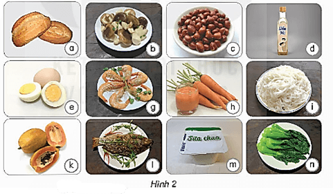 Giáo án Khoa học lớp 4 Bài 23: Vai trò của chất dinh dưỡng với cơ thể | Kết nối tri thức
