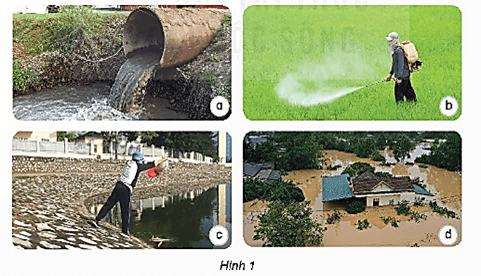 Giáo án Khoa học lớp 4 Bài 3: Sự ô nhiễm và bảo vệ nguồn nước. Một số cách làm sạch nước | Kết nối tri thức