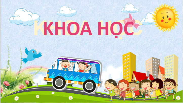 Giáo án điện tử Khoa học lớp 4 Cánh diều Bài 10: Âm thanh trong cuộc sống | PPT Khoa học 4