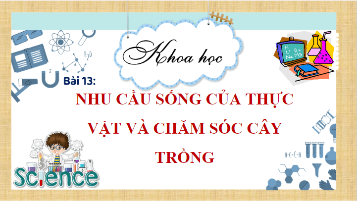 Giáo án điện tử Khoa học lớp 4 Cánh diều Bài 13: Nhu cầu sống của thực vật và chăm sóc cây trồng | PPT Khoa học 4