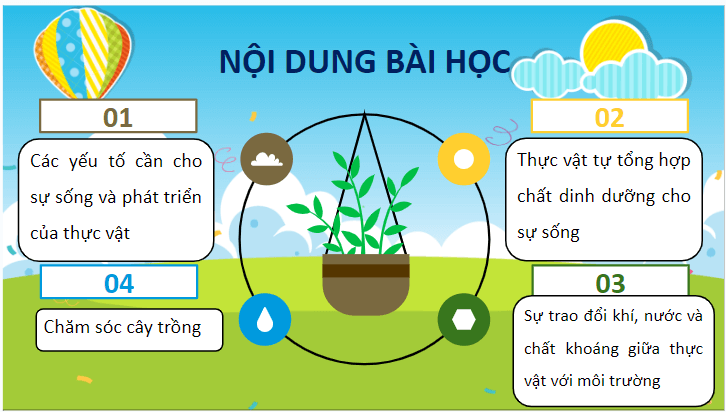 Giáo án điện tử Khoa học lớp 4 Cánh diều Bài 13: Nhu cầu sống của thực vật và chăm sóc cây trồng | PPT Khoa học 4