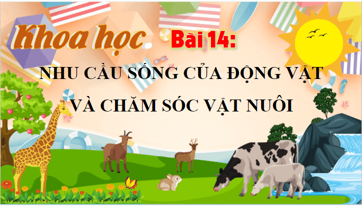 Giáo án điện tử Khoa học lớp 4 Cánh diều Bài 14: Nhu cầu sống của động vật và chăm sóc vật nuôi | PPT Khoa học 4