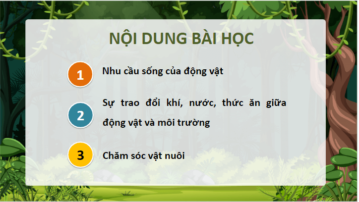 Giáo án điện tử Khoa học lớp 4 Cánh diều Bài 14: Nhu cầu sống của động vật và chăm sóc vật nuôi | PPT Khoa học 4
