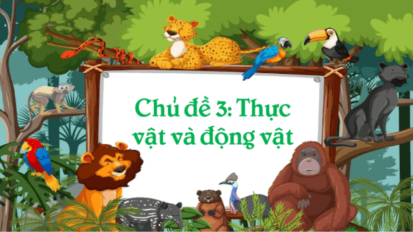Giáo án điện tử Khoa học lớp 4 Kết nối tri thức Bài 15: Thực vật cần gì để sống | PPT Khoa học 4