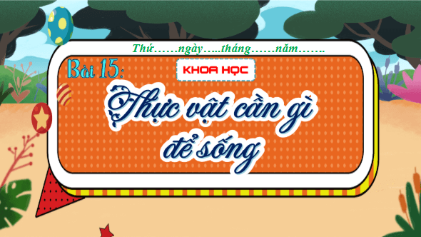 Giáo án điện tử Khoa học lớp 4 Kết nối tri thức Bài 15: Thực vật cần gì để sống | PPT Khoa học 4