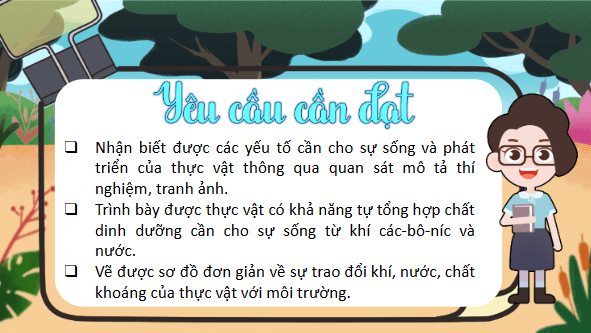 Giáo án điện tử Khoa học lớp 4 Kết nối tri thức Bài 15: Thực vật cần gì để sống | PPT Khoa học 4