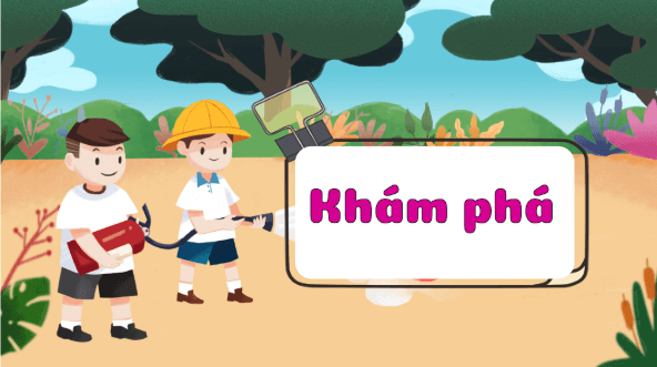 Giáo án điện tử Khoa học lớp 4 Kết nối tri thức Bài 15: Thực vật cần gì để sống | PPT Khoa học 4