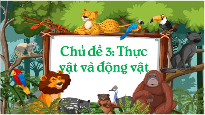 Giáo án điện tử Khoa học lớp 4 Chân trời sáng tạo Bài 15: Thực vật cần gì để sống và phát triển | PPT Khoa học 4