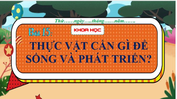 Giáo án điện tử Khoa học lớp 4 Chân trời sáng tạo Bài 15: Thực vật cần gì để sống và phát triển | PPT Khoa học 4