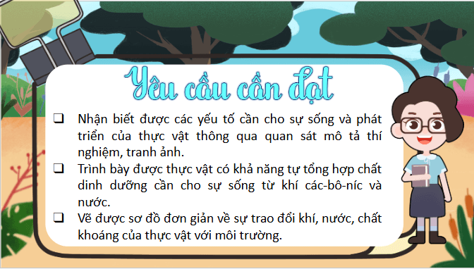 Giáo án điện tử Khoa học lớp 4 Chân trời sáng tạo Bài 15: Thực vật cần gì để sống và phát triển | PPT Khoa học 4