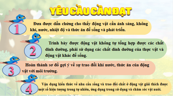Giáo án điện tử Khoa học lớp 4 Kết nối tri thức Bài 16: Động vật cần gì để sống? | PPT Khoa học 4