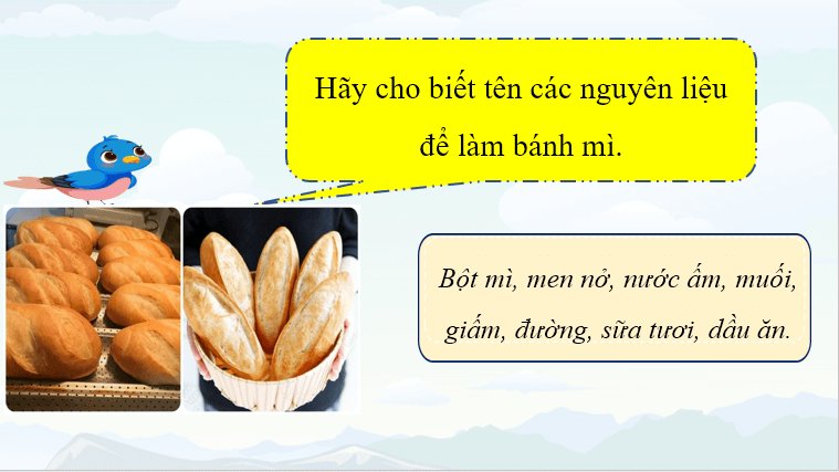 Giáo án điện tử Khoa học lớp 4 Cánh diều Bài 16: Nấm men và nấm mốc | PPT Khoa học 4